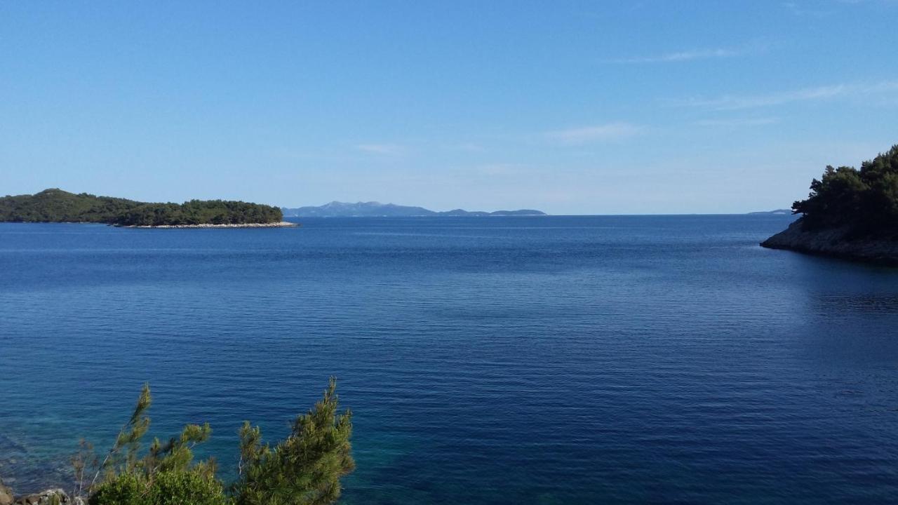 פריזבה Apartments By The Sea Cove Zaglav, Korcula - 12208 מראה חיצוני תמונה